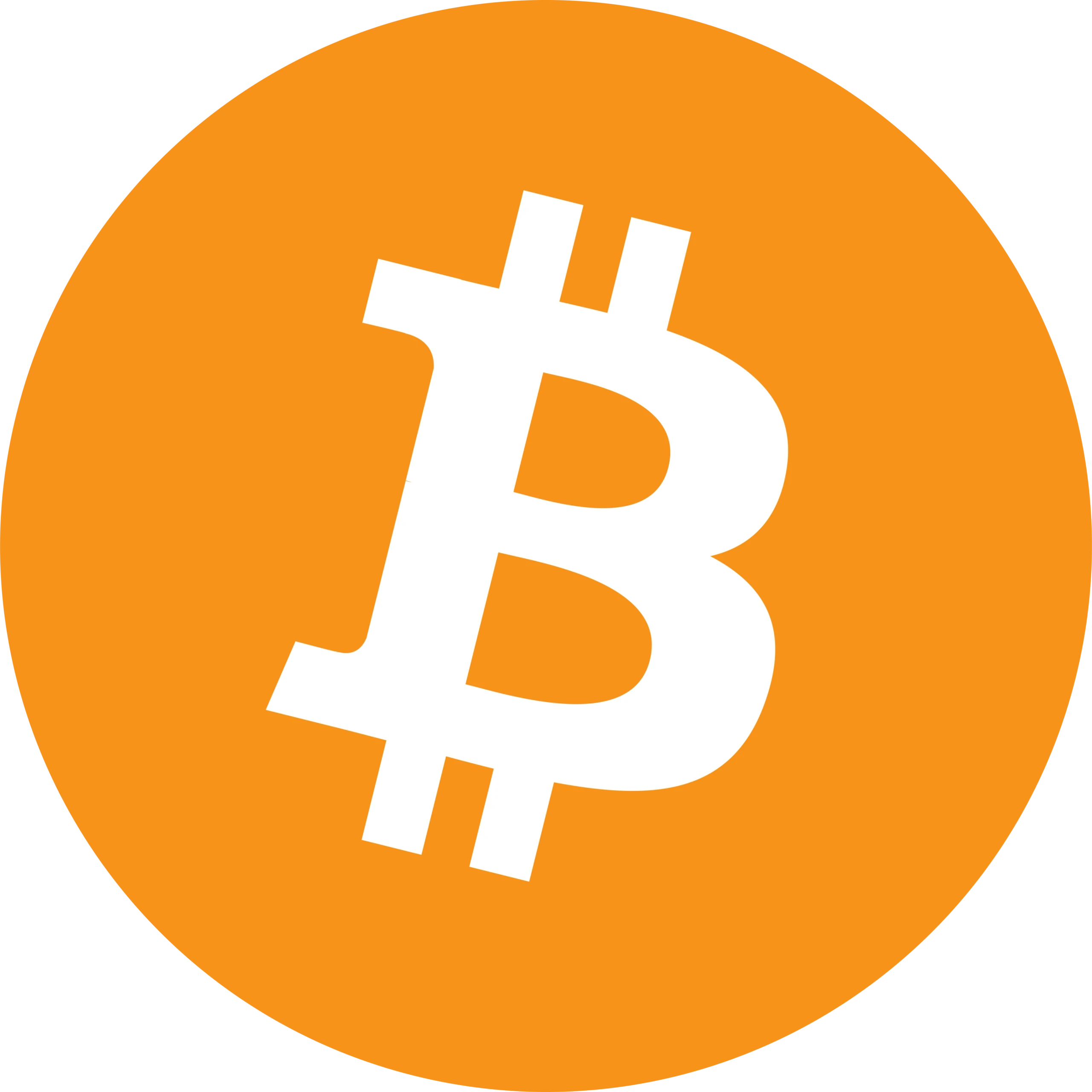 Metoda płatności Bitcoin
